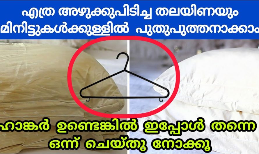 എത്ര അഴുക്കുപിടിച്ച തലയിണയും പുതുപുത്തൻ ആക്കാം.