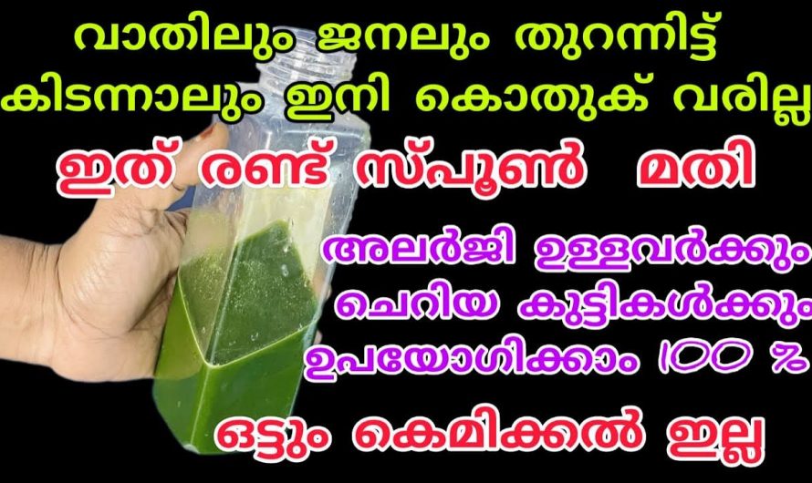 ഇനി നമ്മുടെ വീട്ടിൽ കൊതുകു വല ഉപയോഗിക്കേണ്ട കൊതുകിനെ ഓടിക്കാൻ ഇങ്ങനെ ചെയ്താൽ മതി.