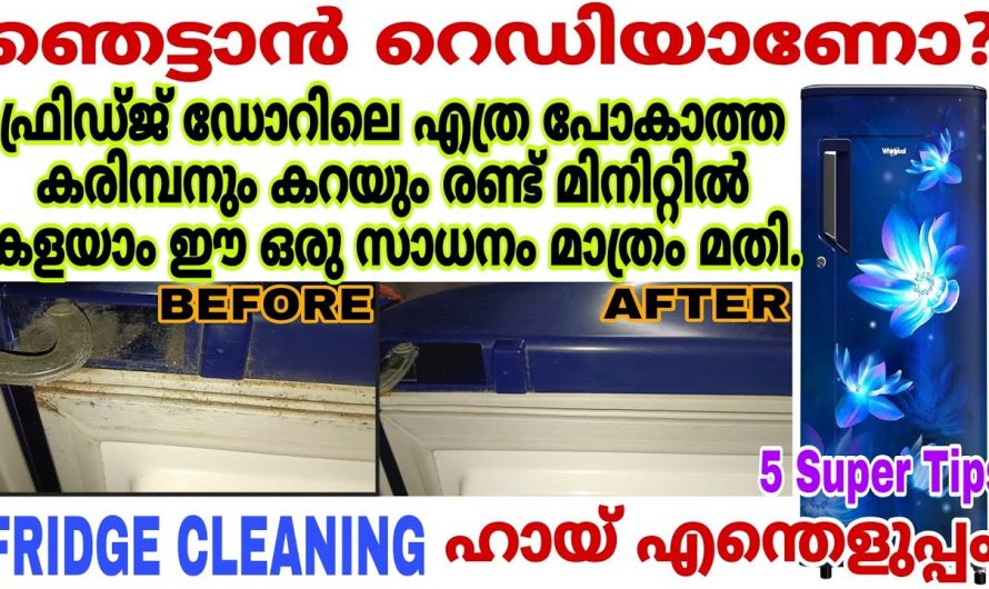 ഫ്രിഡ്ജ് ക്ലീൻ ചെയ്യുന്നതിനെ ഇതിലും നല്ല മാർഗ്ഗം വേറെയില്ല