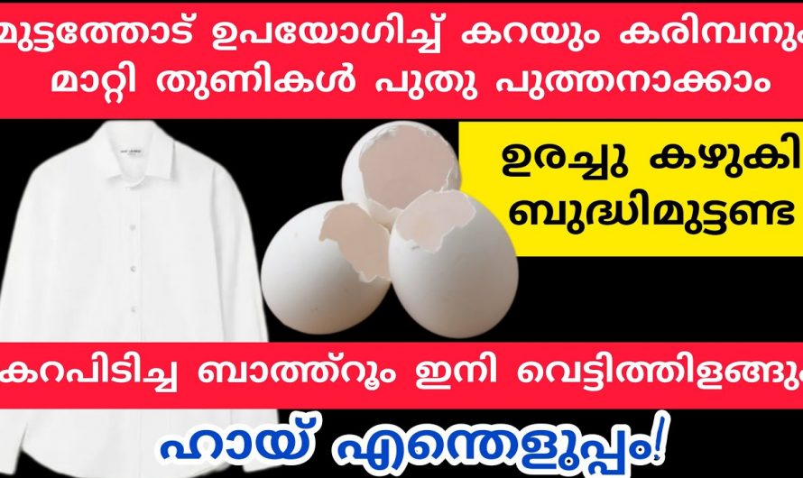 പാത്രങ്ങളെല്ലാം തന്നെ വെട്ടിത്തിളങ്ങും ഈ ഒരു പൊടി മതി