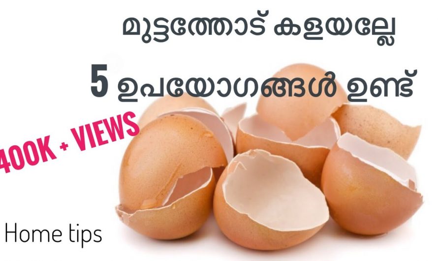 പാത്രങ്ങൾ വൃത്തിയാക്കുവാൻ മുട്ടത്തോട് എങ്ങനെ ഉപയോഗിക്കാം.