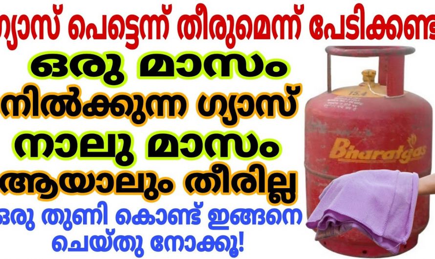 അടുക്കളയിലെ ഗ്യാസ് സേവ് ചെയ്യുന്നതിനെ കിടിലൻ വഴി..