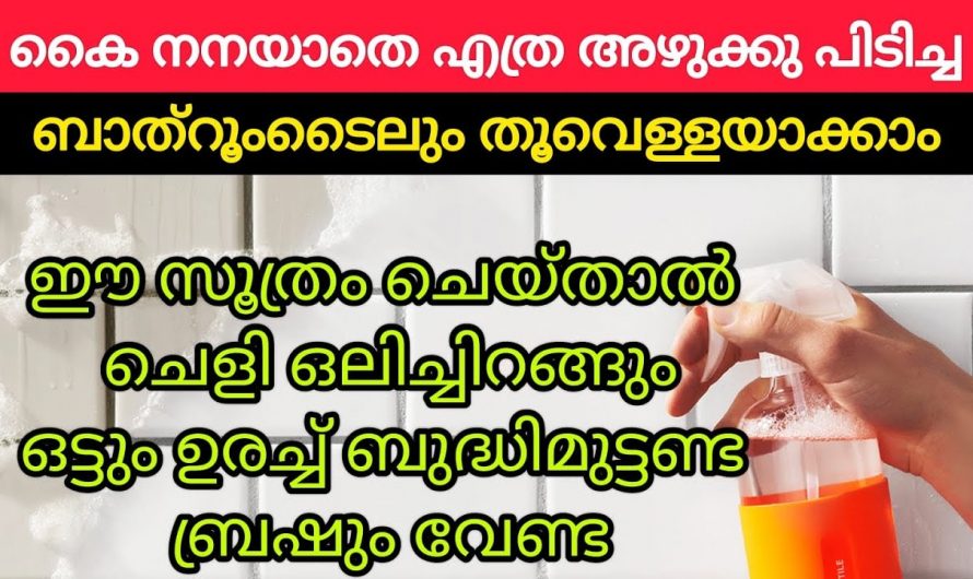 എത്ര പറ പിടിച്ച  ടൈലും വളരെ എളുപ്പത്തിൽ ക്ലീൻ ചെയ്ത് എടുക്കാൻ..