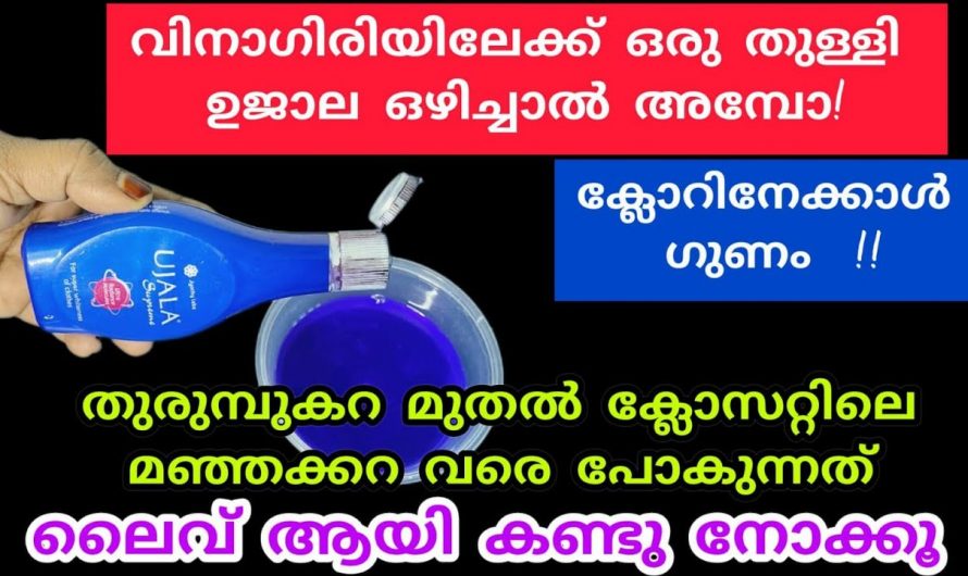 വളരെ എളുപ്പത്തിൽ അടുക്കളയിലെ ഇത്തരം പ്രശ്നങ്ങൾ പരിഹരിക്കാം.