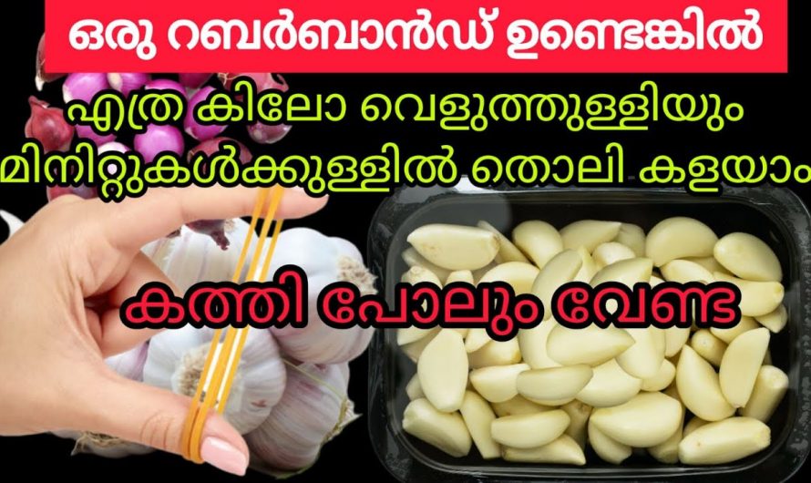 ഇഞ്ചി വെളുത്തുള്ളി പേസ്റ്റ് കേടുകൂടാതെ സൂക്ഷിക്കുവാൻ ഇങ്ങനെ ചെയ്താൽ മതി.