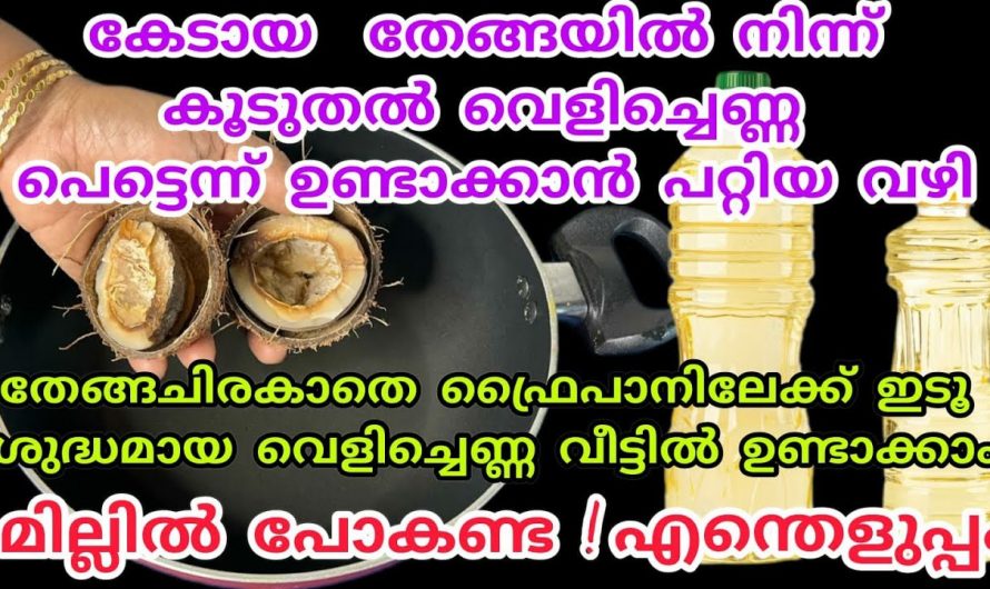 ഉണങ്ങിയ തേങ്ങ ഇനി കളയേണ്ടതില്ല ഇങ്ങനെ ചെയ്താൽ മതി.