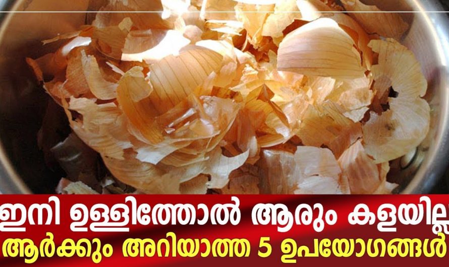 ഉള്ളിത്തോൽ ഉപയോഗിച്ചുകൊണ്ട് ശരീരവേദന അകറ്റാം.