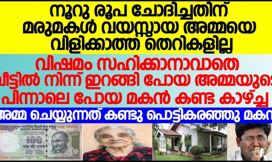 വൃദ്ധയായ അമ്മയുടെ മരുമകൾ ചെയ്തത് കണ്ടോ…