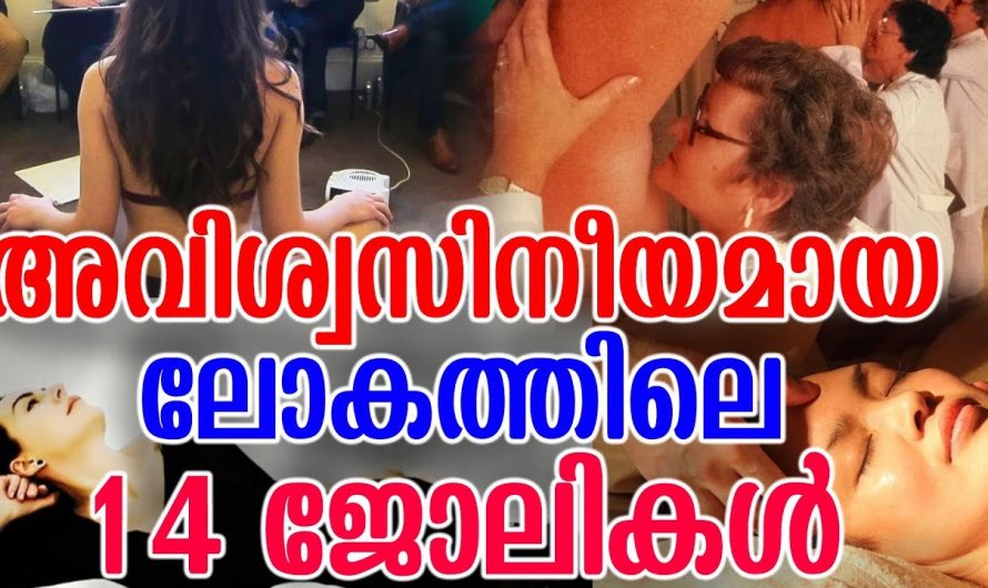 ഇങ്ങനെയൊക്കെ ജോലി ചെയ്യുന്നവരുണ്ട് ഇന്ന്  അറിഞ്ഞാൽ നിങ്ങൾ ഞെട്ടിപ്പോകും…