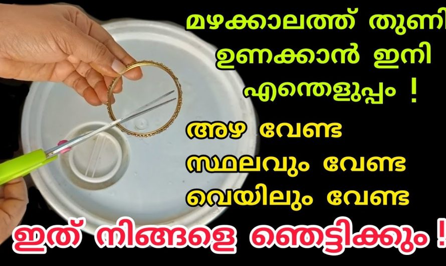 എത്ര മഴ പെയ്താലും തുണികൾ ഉണക്കുവാൻ ഇനി സ്ഥലം ഇല്ല എന്ന് ആരും പറയുകയില്ല.