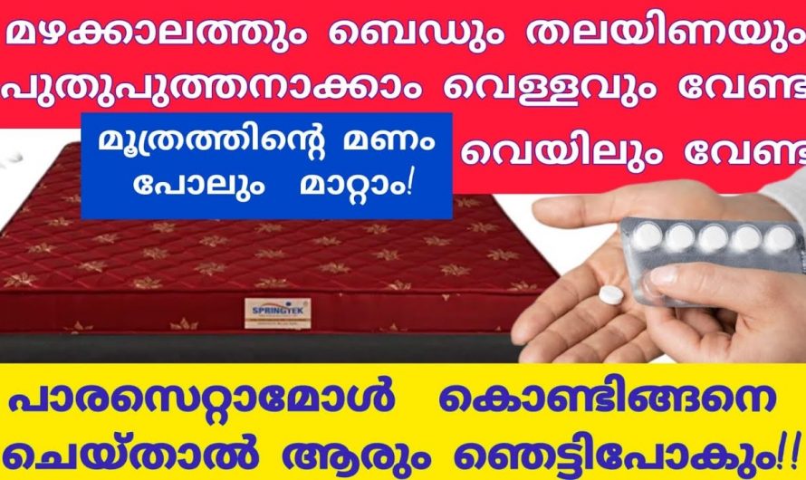 ഇത്തരം മാർഗ്ഗങ്ങൾ സ്വീകരിച്ച അടുക്കള ജോലി എളുപ്പമാക്കാം…