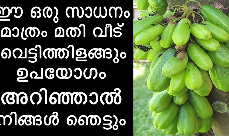 ബാത്റൂം ക്ലീനിങ് സൊല്യൂഷൻ നമുക്ക് വീട്ടിൽ തന്നെ തയ്യാറാക്കാം