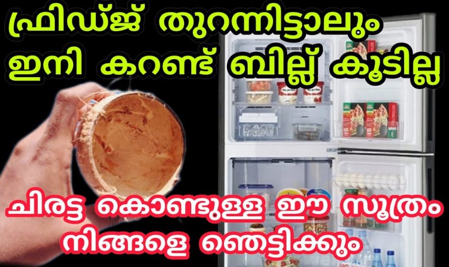 ഫ്രിഡ്ജിൽ ഇത്തരം കാര്യങ്ങൾ ശ്രദ്ധിക്കുകയാണെങ്കിൽ കറണ്ട് ബില്ല് ലഭിക്കാം.