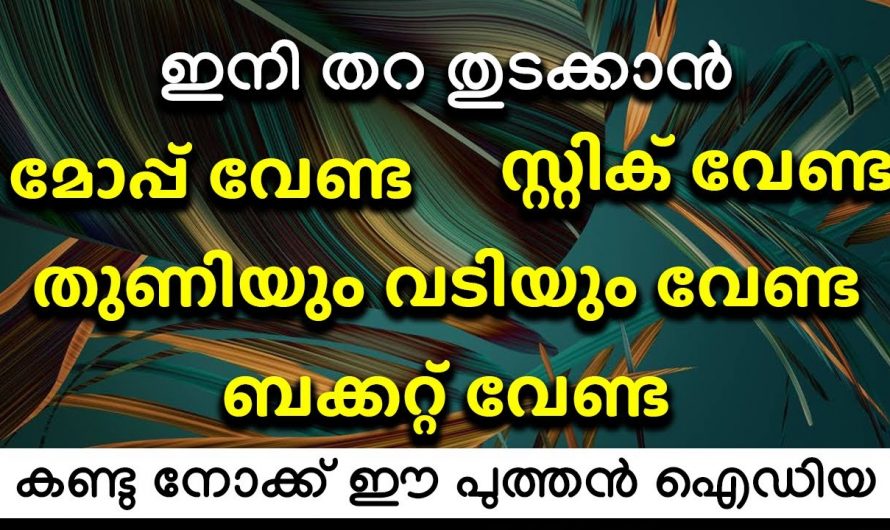 മോപ്പ്  സ്റ്റിക്ക് ഒന്നും വേണ്ട തറ  തുടക്കാൻ ഇതാ കിടിലൻ വഴി…