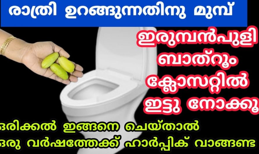 ബാത്റൂം ഫിറ്റിംഗ്സും നമുക്ക് പുതുപുത്തൻ ആക്കി മാറ്റാം.