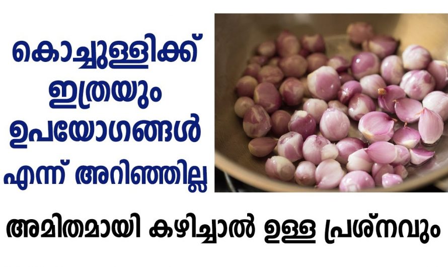 ഇത്രയധികം ഉപകാരം ഉണ്ടായിരുന്നു ചെറിയ ഉള്ളിക്ക്.