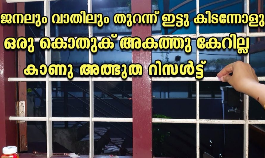 വളരെ എളുപ്പത്തിൽ കൊതുക്  ശല്യം പരിഹരിക്കാൻ