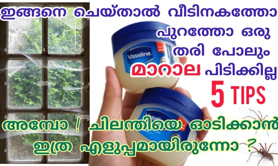 വീട്ടിലെ മാറാലയും മറ്റു പ്രശ്നങ്ങളും എളുപ്പത്തിൽ പരിഹരിക്കാം…