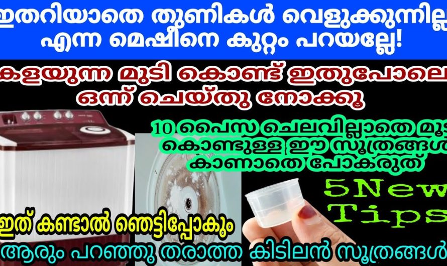 വീട്ടുജോലി ഇനി എന്തെളുപ്പം ഇങ്ങനെ ഒന്ന് ചെയ്തു നോക്കൂ.