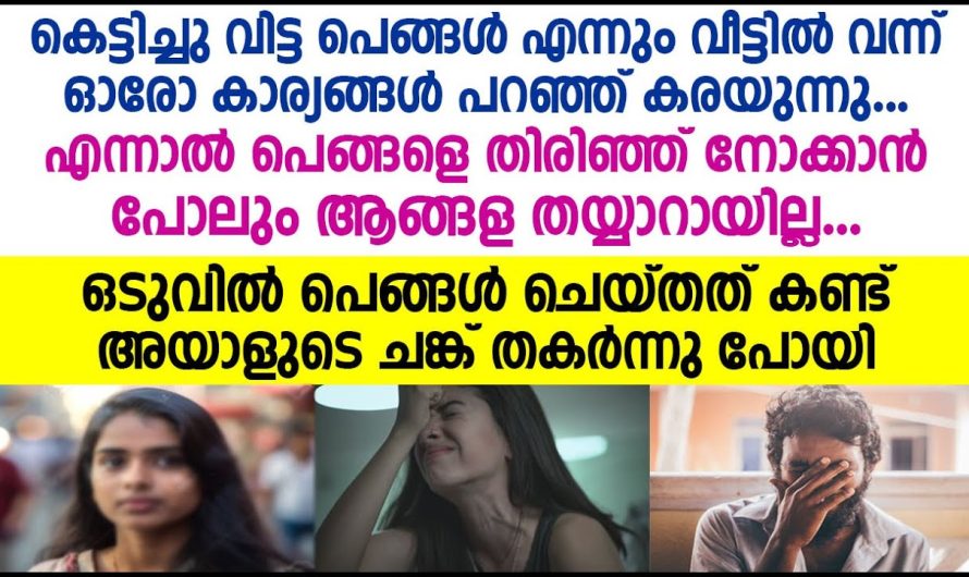 കെട്ടിച്ചു വിട്ട പെങ്ങളുടെ  പരാതി കേൾക്കാൻ തയ്യാറായില്ല എന്നാൽ പിന്നീട് പെങ്ങൾ ചെയ്തത് ആരെയും നടുക്കുന്നന്നായിരുന്നു…