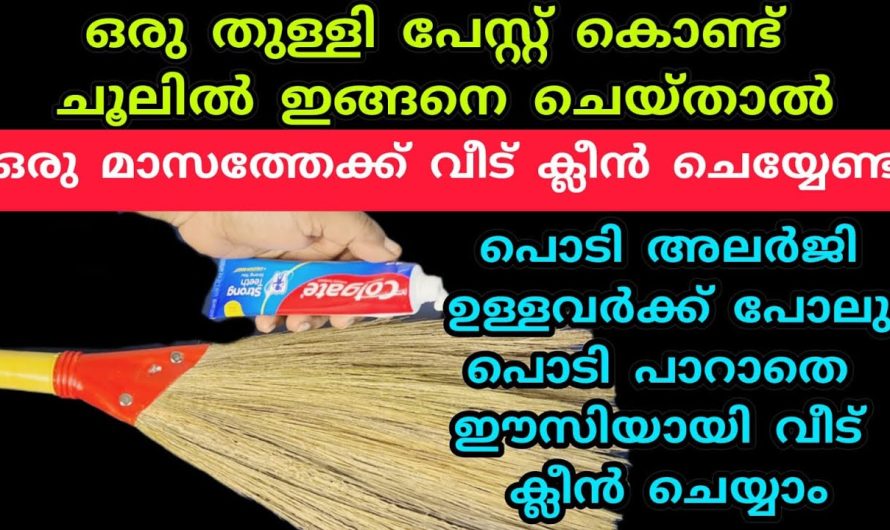 വീട്ടിലുണ്ടാകുന്ന പൊടിപടലങ്ങൾ വൃത്തിയാക്കുമ്പോൾ അലർജി വരാതെ എങ്ങനെ വൃത്തിയാക്കാം.