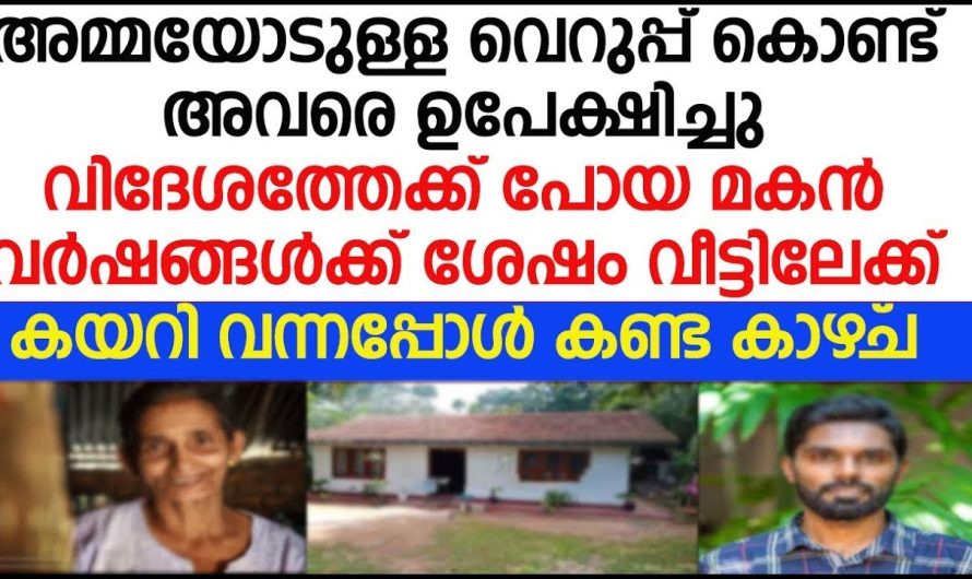 വിദേശത്തേക്ക് പോയ മകൻ തിരിച്ചു വന്നപ്പോൾ കണ്ടത് ആരെയും ഞെട്ടിക്കുന്നത്…