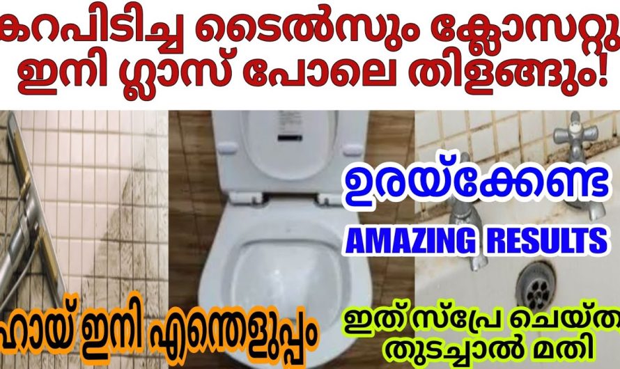 ഇത് ഒന്ന് മാത്രം  മതി നമ്മുടെ ബാത്റൂമുകൾ സുഗന്ധം പരത്തുവാൻ.