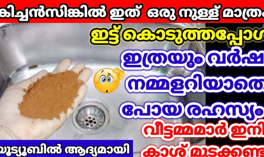 ഈയൊരു സാധനം കൊണ്ട് കിച്ചൻസിങ്ക് വൃത്തിയാക്കാം