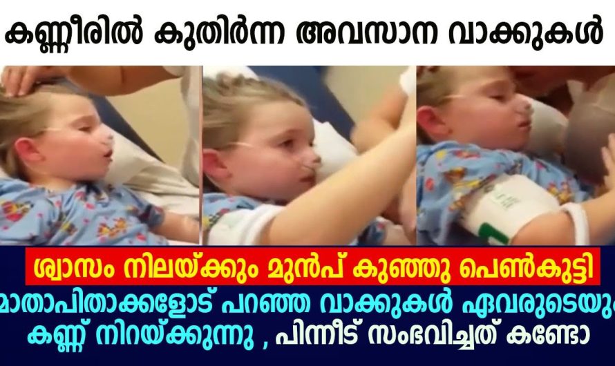 ഈ പെൺകുട്ടി ചെയ്ത കാര്യം ആരെയും ഒന്ന് ഞെട്ടിക്കും…