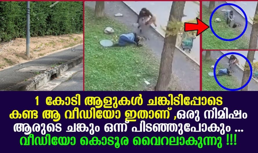 ഈ അമ്മ ചെയ്ത പ്രവർത്തി കണ്ടാൽ ആരും ഒന്നും അതിശയിച്ച് പോകും…