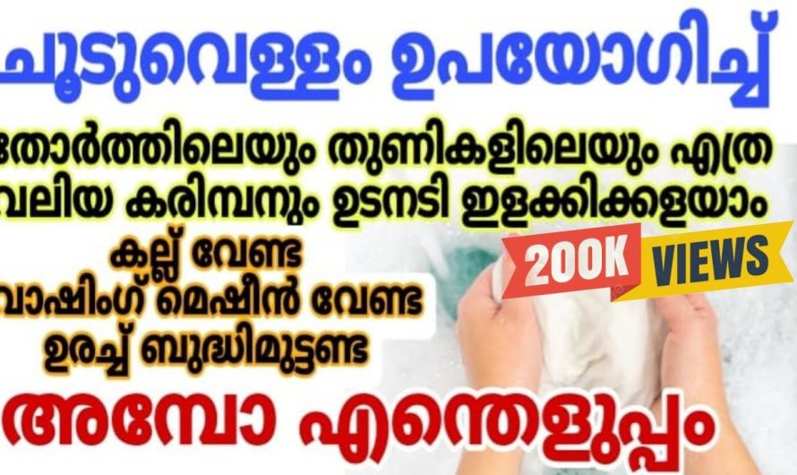 വസ്ത്രങ്ങളിലെ കരിമ്പന എളുപ്പത്തിൽ നീക്കം ചെയ്യാൻ കിടിലൻ മാർഗ്ഗം…