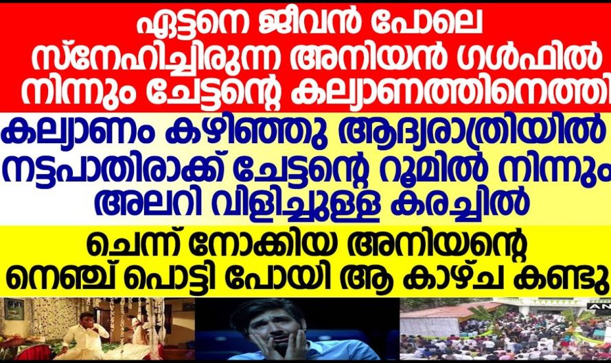 ഏട്ടന്റെ വിവാഹത്തിന് ശേഷം അനിയനെ വളരെയധികം പ്രയാസം…