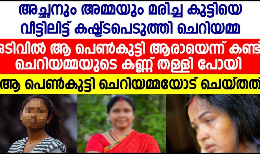 മാതാപിതാക്കൾ നഷ്ടപ്പെട്ട പെൺകുട്ടിയെ നോക്കുന്നവർ ഉപദ്രവിച്ചു എന്നാൽ  പിന്നീട് സംഭവിച്ചത്..