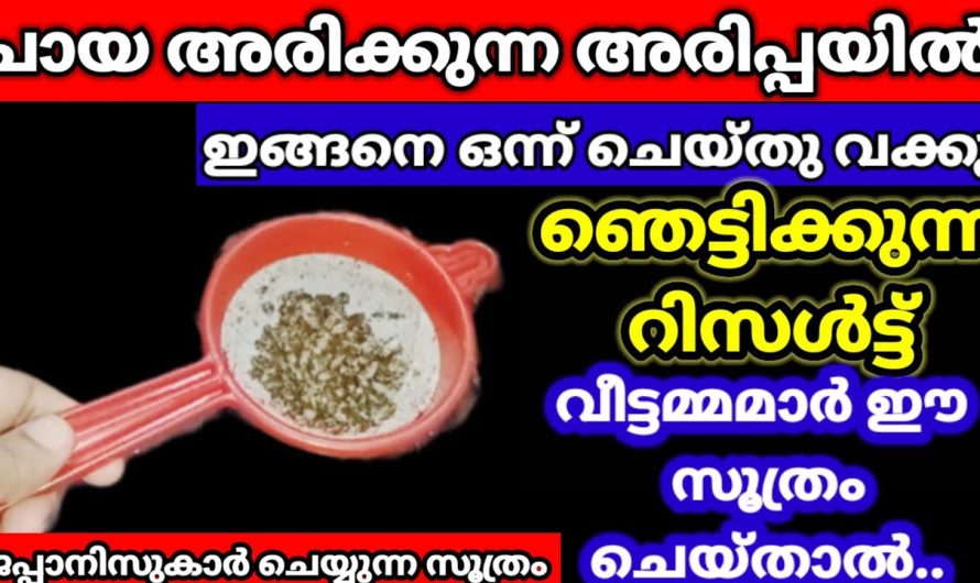 അടുക്കളയിൽ ഇത്തരം കാര്യങ്ങൾ ശ്രദ്ധിച്ചാൽ വളരെ അധികം ഗുണപ്രദം…