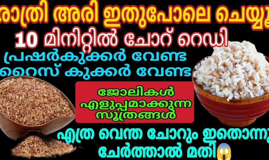 സ്കൂൾ തുറക്കുമ്പോൾ കുട്ടികളുടെ പാത്രങ്ങൾ ശ്രദ്ധിക്കേണ്ടത് ഇങ്ങനെ.