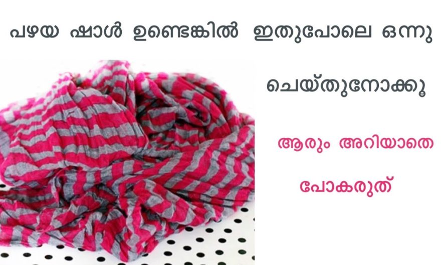 നമ്മുടെ പഴയ തുണികൾ ഉപയോഗിച്ചുകൊണ്ട് വീട്ടിൽ ഉപയോഗിക്കുന്ന ചവിട്ടികൾ ഉണ്ടാക്കാം.