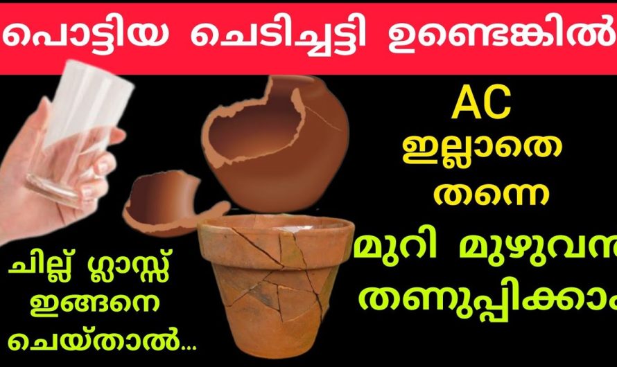 എത്ര ചൂടായാലും വീട് മുഴുവൻ തണുക്കാൻ ഇതാ  കിടിലൻ വഴി…