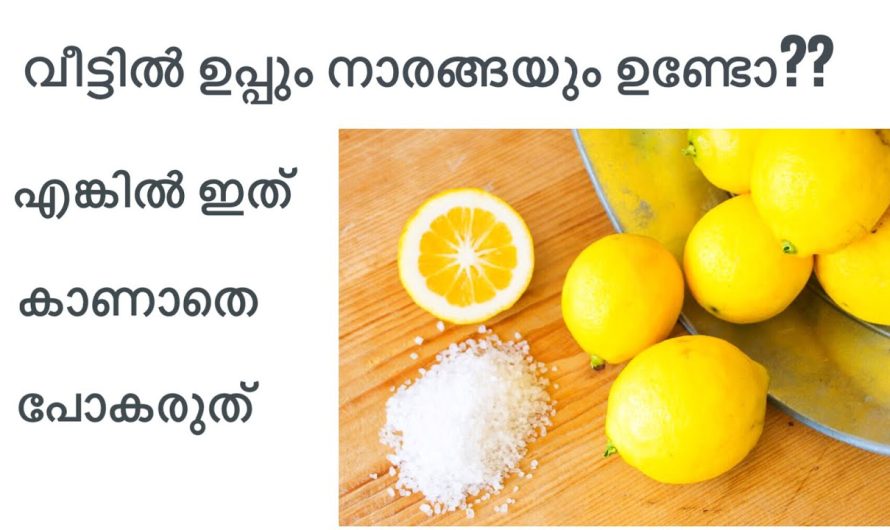 തുരുമ്പ് പിടിച്ച കത്തി ഇനി നമുക്ക് ചെറുനാരങ്ങ ഉപയോഗിച്ചുകൊണ്ട് വൃത്തിയാക്കാം.