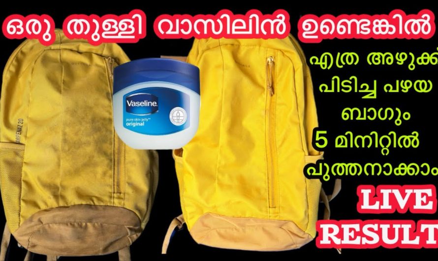 പഴയ ബാഗ് പുതുപുത്തൻ ആക്കി സ്കൂളിൽ പോകാം ഇങ്ങനെ ചെയ്താൽ.