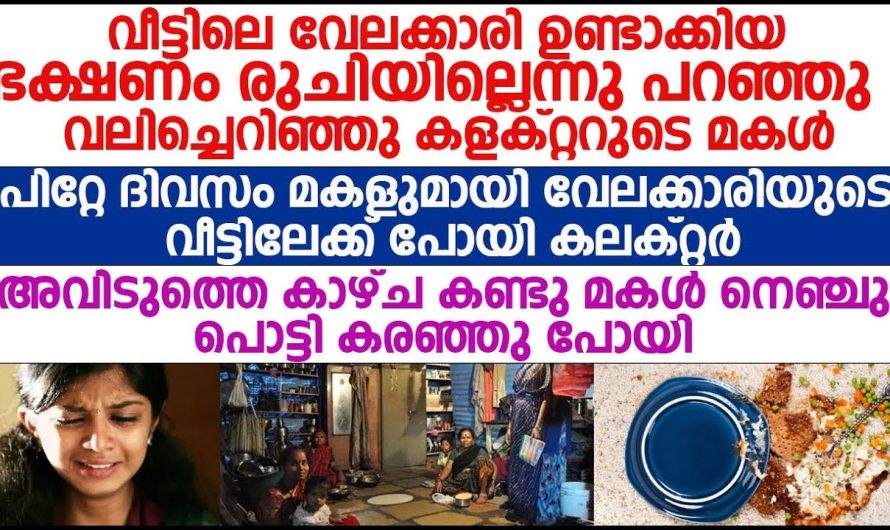 മകളുടെ ബർത്ത്ഡേക്ക് നൽകിയ ഗിഫ്റ്റ് കണ്ടാൽ ആരും  അതിശയിക്കും…