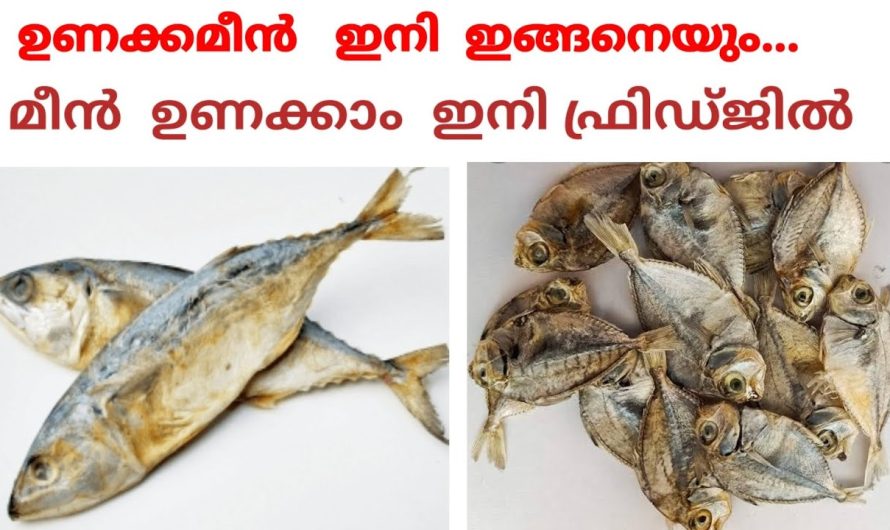 വളരെ എളുപ്പത്തിൽ ഉണക്കമീൻ തയ്യാറാക്കാൻ..