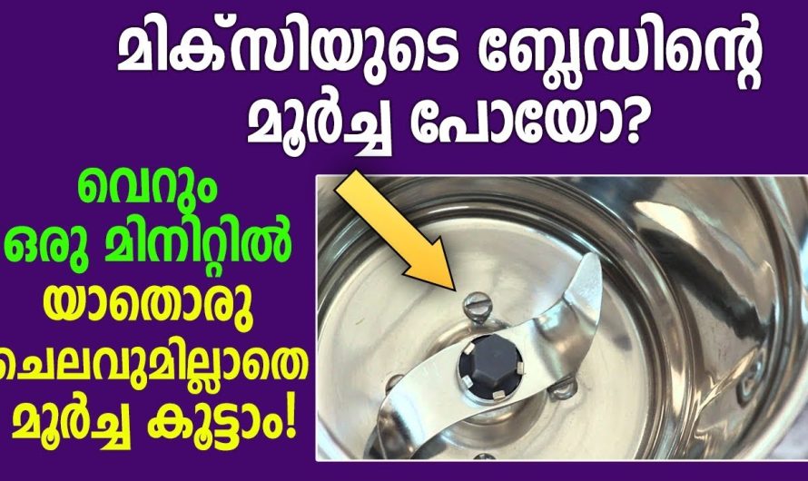 മിക്സിയുടെ ജാറിന്റെ മൂർച്ച വർദ്ധിപ്പിക്കുവാൻ ഇങ്ങനെയൊന്ന് ചെയ്താൽ മതി.