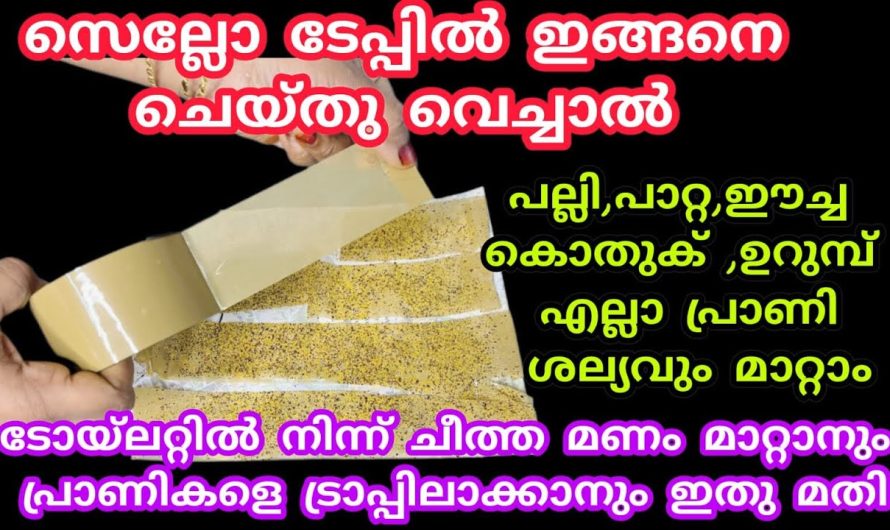 പ്രാണികളെ ട്രാപ്പിലാക്കാനും ചീത്ത മണം ഇല്ലാതാക്കാനും ഇനി എന്തെളുപ്പം.