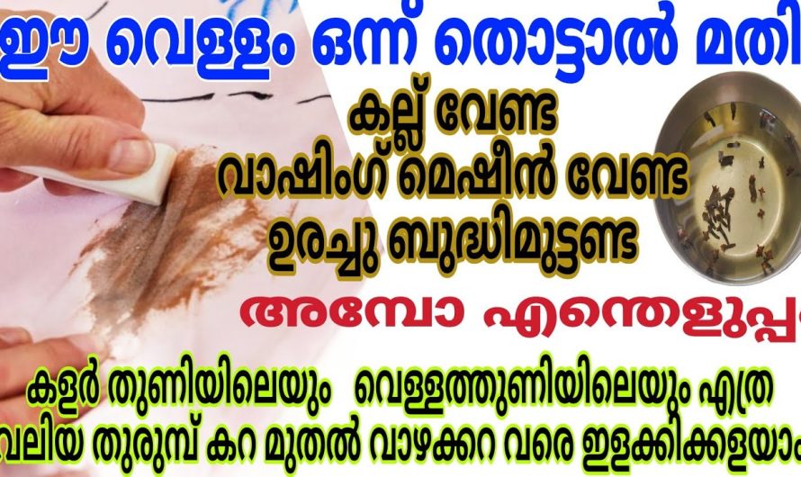 വെള്ള തുണികളിലെയും കളർ തുണികളിലെയും ഏതു കറയും ഇനി ഈസിയായി പരിഹരിക്കാം.