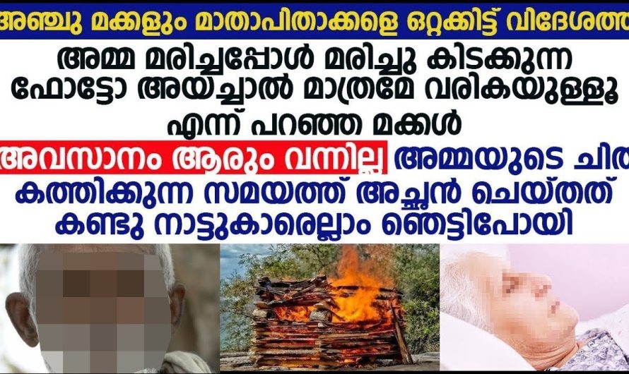 ആരോരുമില്ലാത്ത അനാഥയെ പോലെ ഭാര്യ കത്തിയമരുമ്പോൾ  ഭർത്താവ് ചെയ്തത് കണ്ടോ.