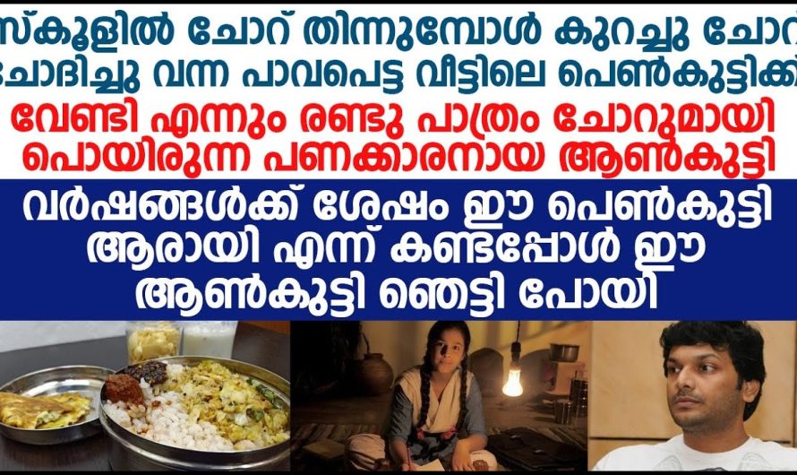 സ്കൂളിൽ പഠിക്കുമ്പോൾ താൻ ദിവസവും ചോറ് കൊടുത്തിരുന്ന അനിയത്തിക്കുട്ടി ആരെന്നറിഞ്ഞപ്പോൾ ഞെട്ടിപ്പോയി.