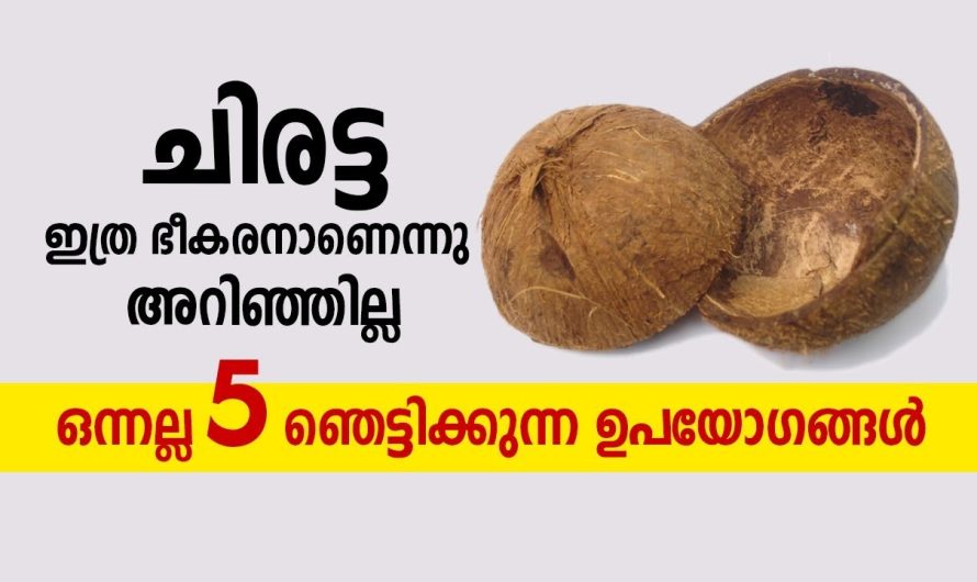 കത്തിച്ചു കളയുന്ന ഇതൊന്നു മതി കൊളസ്ട്രോളും ഷുഗറും ഇല്ലാതാക്കാൻ.