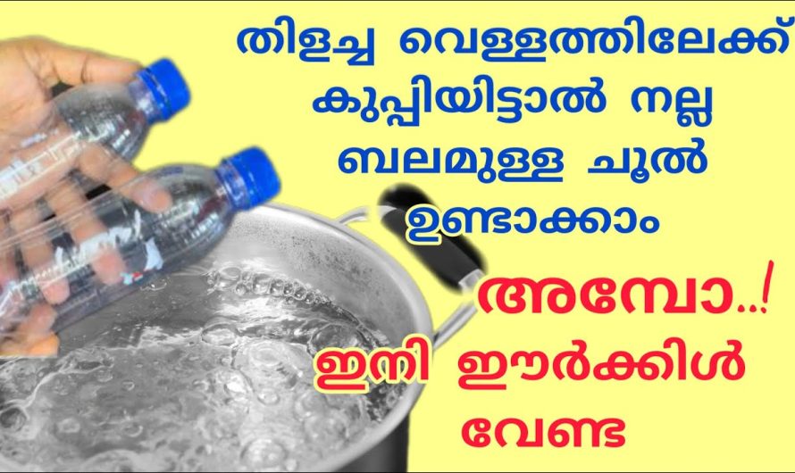 ഈർക്കൽ ഒട്ടുമില്ലാതെ തന്നെ ചൂൽ ഈസിയായി ഉണ്ടാക്കാം.