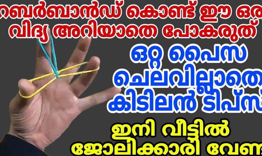 പത്തു പൈസ മുടക്കാതെ അടുക്കളയിൽ ചെയ്യാൻ സാധിക്കുന്ന ഷോക്കിങ് ടിപ്സ്.