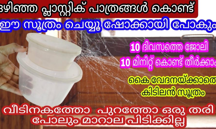 ഇങ്ങനെ ചെയ്താൽ മതി വീടിന്റെ അകത്തോ പുറത്തോ ഒരു തരി മാറാല പോലും പിടിക്കില്ല.